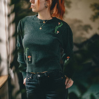 Disturbia – Fable Embroidered Jumper