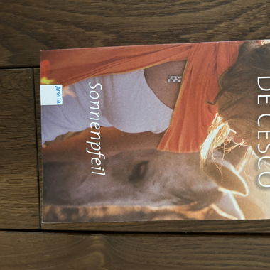 Buch „Sonnenpfeil“
