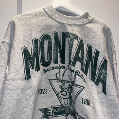 Montana Hoodie Bershka 