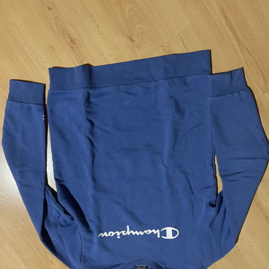 Champion Sweatshirt