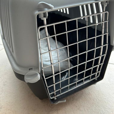 Katzenkiste-Transportbox 