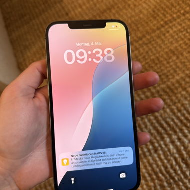 iPhone 12 Pro Max 256 Go
