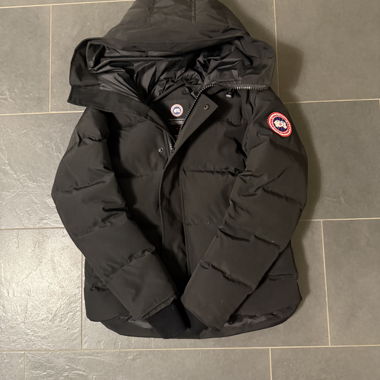 Canada Goose