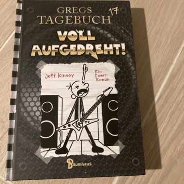 Journal de Greg 17