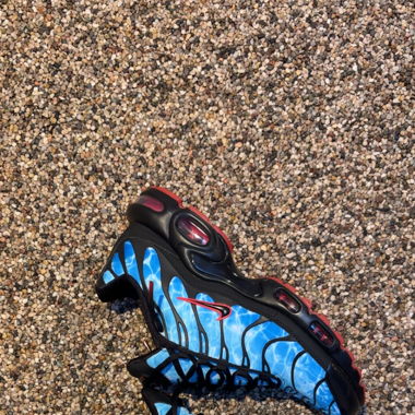 Nike Air Max Plus (TN)