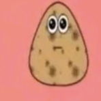 giorgiaorofinoo