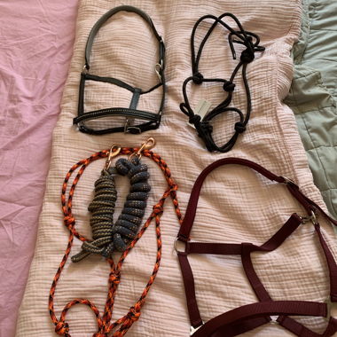 Set di cavezze per cavalli