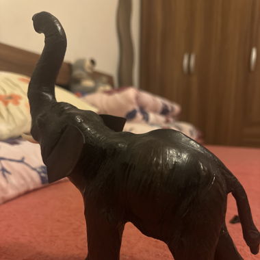 elefant