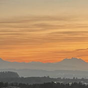 cleofea