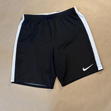 Nike Sports Shorts