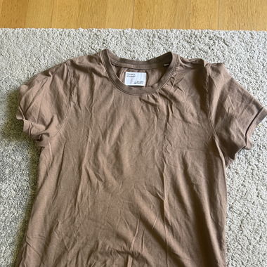 T Shirt Colourful Standards