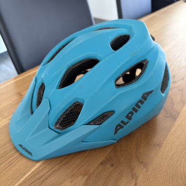 Alpina Bicycle Helmet