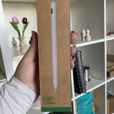 Ipad pen