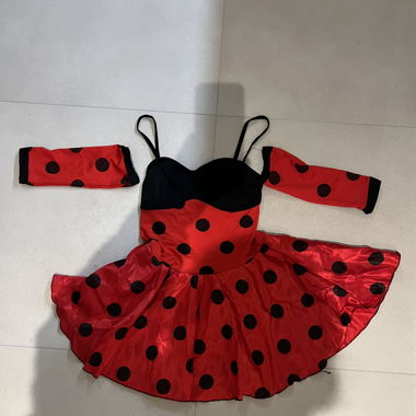 Costume carnaval 