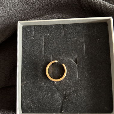 Phalanx ring, gold band