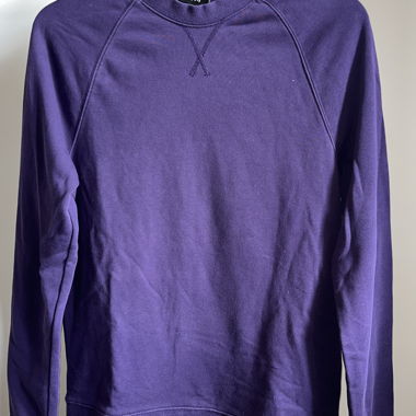 Lilac Sweatshirt (H&M)