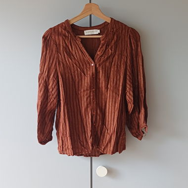 Shiny Brick Blouse