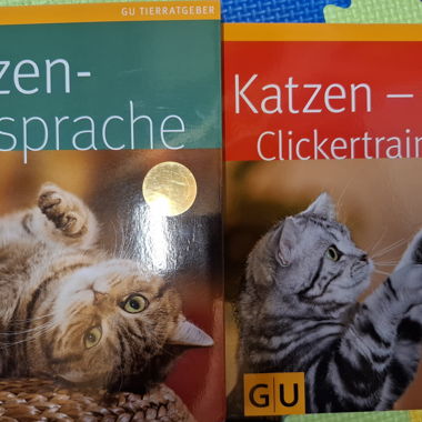 2 libri di consigli per gatti