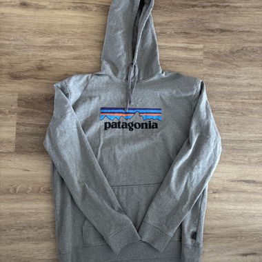 Patagonia Hoodie