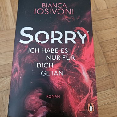 Sorry, je l'ai fait pour toi - Bianca Iosivoni