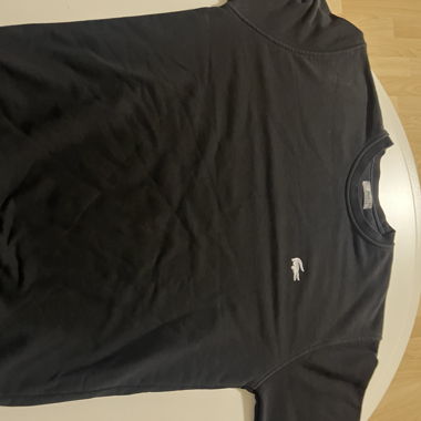 Lacoste Pullover