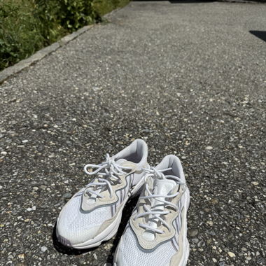 Adidas sneaker