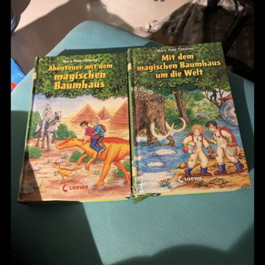 2 books “The Magic Tree House” collected volumes