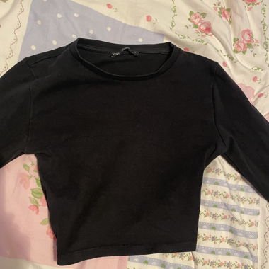 Zara Long Sleeve Crop Top