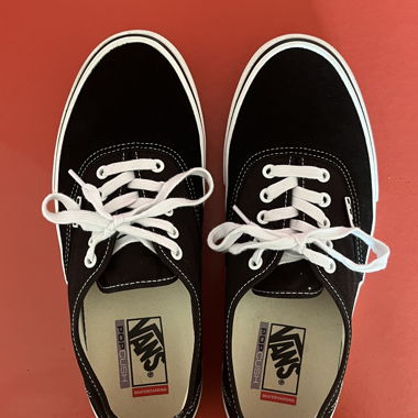 Vans Skateboarding Sneaker schwarz