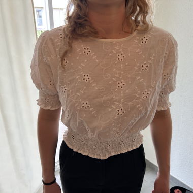 Embroidered Cropped Blouse