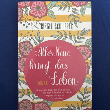 Livre romanesque de Birgit Schlieper