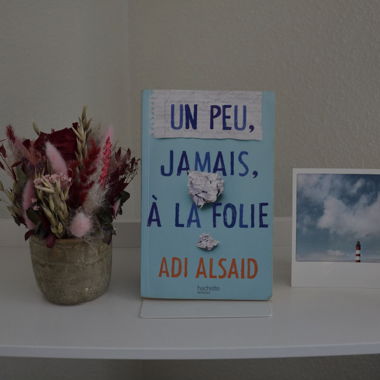 Un peu, jamais, à la folie - Adi Alsaid
