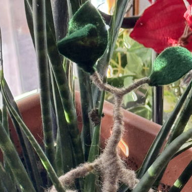 Handgemachte Bowtruckle Dekoration 