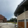 Daar