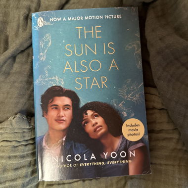 Book The Sun is also a Star - English Books