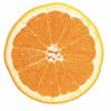 Citrus_fruit