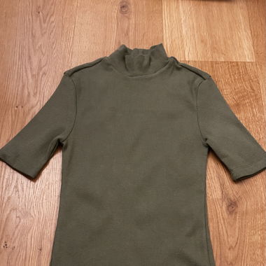 Canal Sage Green Half Sleeve High Neck Top