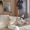 faustine.monnier
