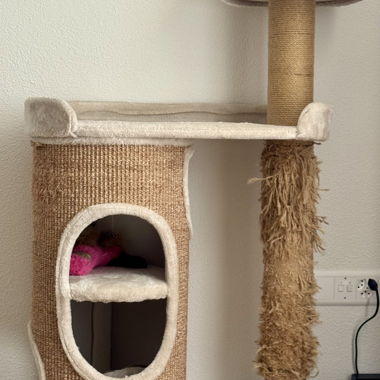 Cat scratching post with bed