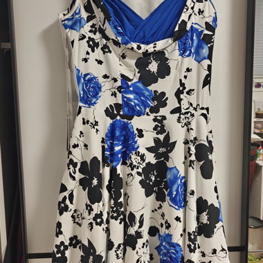 Blackbutterfly Dress