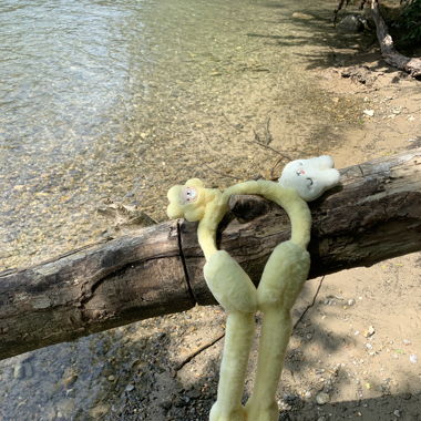 Ohrschützer