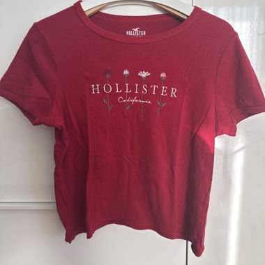 Hollister Women's Red T-Shirt