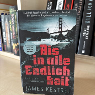 Bis in alle Endlichkeit von James Kestrel
