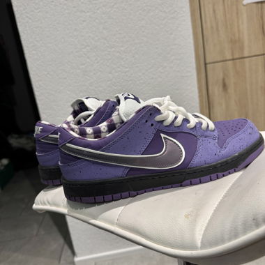 Nike SB Dunk Low Purple