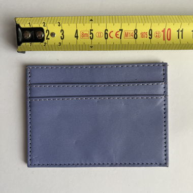 Porte-cartes bleu