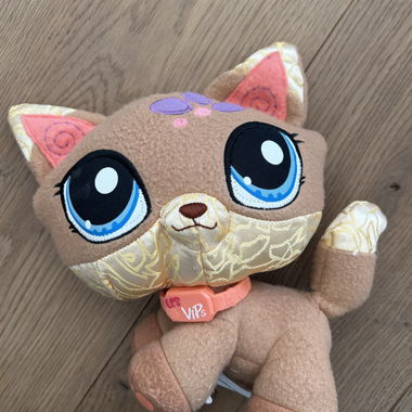Chat Pet Shop