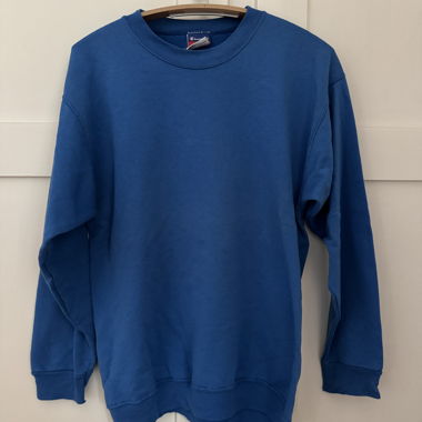 Champion Blue Sweatshirt 