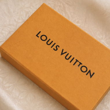 Louis Vuitton Scarf