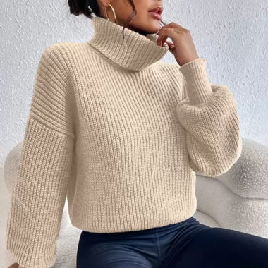 Rollkragen Pullover