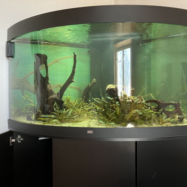 Acquario angolare Juwel Trigon 350 litri con mobile